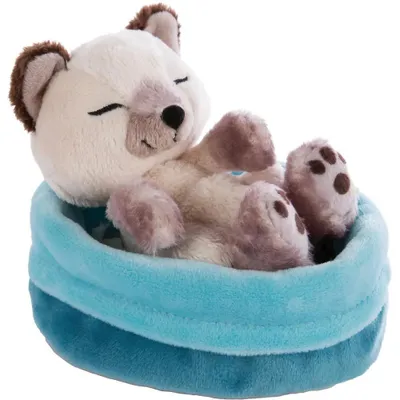 Produktbild von Nici GmbH Kuscheltier Katze Siam schlafend im blauen Körbchen NICI GREEN