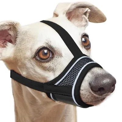 Hunde-Maulkorb, atmungsaktiv, verstellbar, M, schwarz