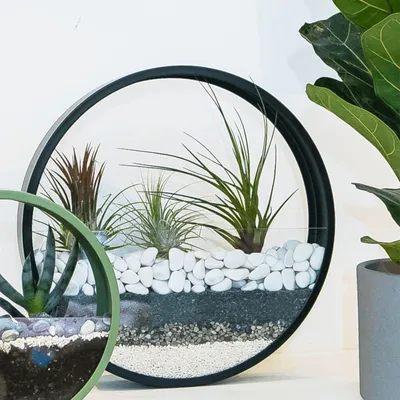 Immagine prodotto di Ciottoli 1,9 kg - Pietre decorative - Sabbia per acquari - Decorazione da giardino - Pietre bianche 20-40 mm - Pietre decorative