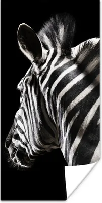 Produktbild von MuchoWow® Poster Zebra - Tier - Schwarz - Porträt 20x40 cm - Plakat - Foto