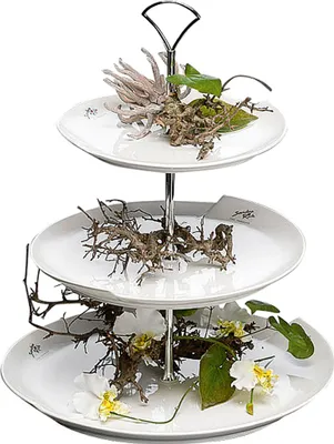 Image de SANDRA RICH Etagere Porzellan mit Henkel 3Stufig ø20 25 29cm 39cm weiß
