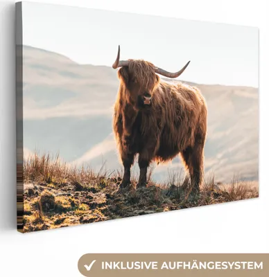 Produktbild von MuchoWow® - Leinwandbilder - Schottische Highlander - Tiere - Ländlich - Landschaft - Kuh - Natur, Wandbild, Wanddeko Bilder Wohnzimmer, 90x60cm