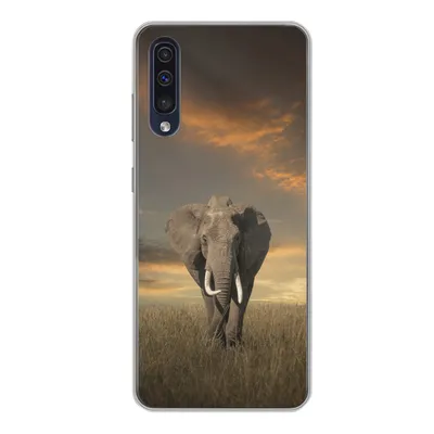 Produktbild von MuchoWow® Handyhülle Schutzhülle Hülle für Samsung Galaxy A50 Elefant - Tiere - Gras - Natur Silikon Softcase Handy Hülle - Mobiltelefonhülle