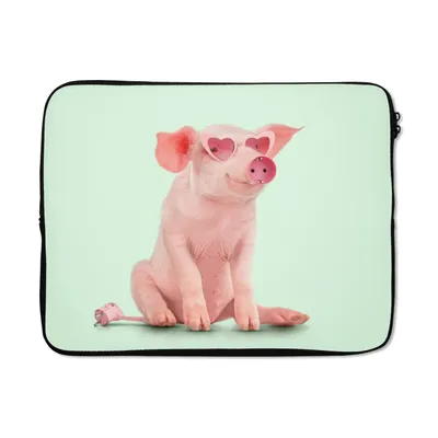 Produktbild von MuchoWow® Laptop Hülle 15 Zoll Schwein - Rosa - Brille - Sockel - Tiere Laptoptasche - Laptoptasche - Sleeve - Rundum-Schutz
