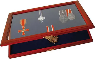 Produktbild von SAFE 5873 Vitrine für Orden und Ehrenzeichen