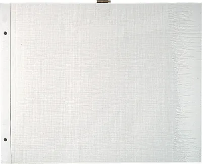 Image de Exacompta 3x Sachet de 10 Recharges album à visp. blanches 29x37 cm Blanc 16812E