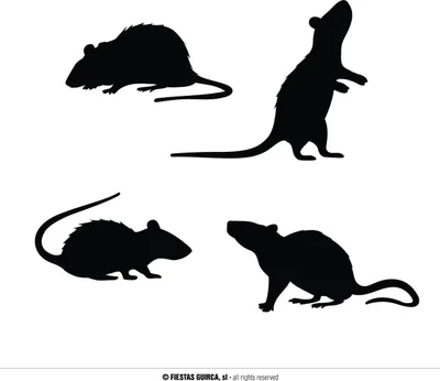 Produktbild von Guirca Silhouetten 4 Ratten One Size