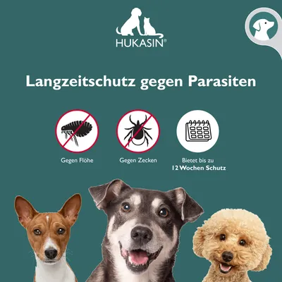 Produktbild von Hukasin® Spot On Hund - Zecken- und Floh Schutz - langanhaltender Zeckenschutz Hund & Flohmittel Hund bis zu 12 Wochen