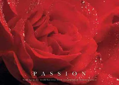 Produktbild von Motivational - Poster - Passion Rose