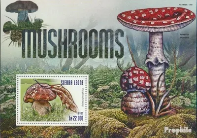 Produktbild von Briefmarken Sierra Leone 2015 Mi Block 795 (kompl. Ausg.) postfrisch Pilze