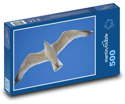 Obrázek produktu pro martinpuzzle - Puzzle 500 - Racek v letu