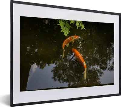 Produktbild von MuchoWow® MuchoWow® Gerahmtes Poster Zwei Koi-Karpfen um einen Teich 40x30 cm - Poster mit zchwarzem Bilderrahmen - Bilderrahmen - Poster im Rahmen