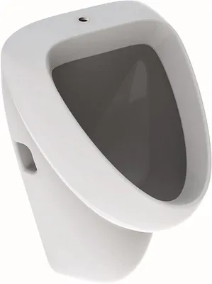Produktbild von Geberit Geberit Urinal ALLER we KT