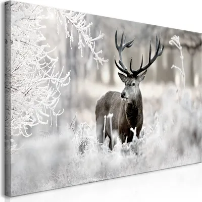 Produktbild von Wandbild Mega XXXL Hirsch 250x125 cm Einteiliger XXL-Format Kunstdruck zur Selbstmontage Leinwandbilder moderne Bilder DIY Wanddekoration Wohnung Deko Deer Landschaft Winter g-C-0057-ak-g
