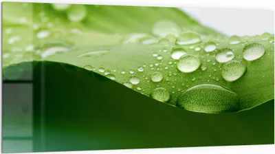 Produktbild von DEQORI Küchenrückwand Glas 100x50 cm 'Tropfenfrische' Spritzschutz Bad Rückwand Küche