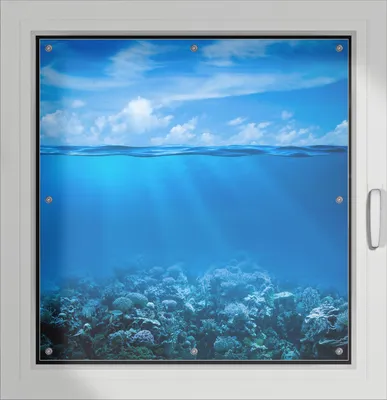 Produktbild von Wallario Lichtschutzbild, Dekorativer Sichtschutz Sonnenschutz 96 x 93 cm mit Motiv: Unterwasserwelt Meer - Verdunklung ohne Bohren