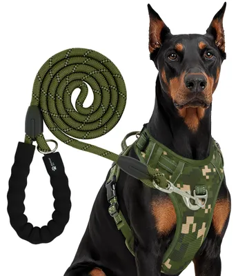Produktbild von Reichstadt  RS Pets Hundegeschirr & Leinen Set 25RSP083-4 Camouflage Green M