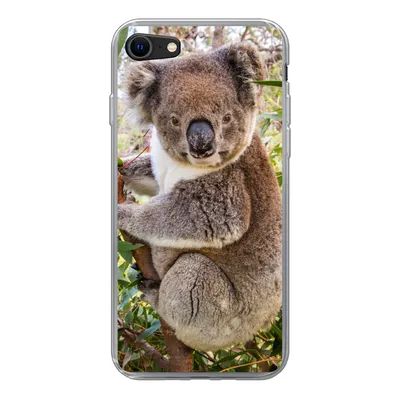 Produktbild von MuchoWow® Handyhülle Schutzhülle Hülle für iPhone SE 2020 Koala - Baum - Blätter - Kinder - Jungen - Mädchen Silikon Softcase Handy Hülle - Kartenbesitzer