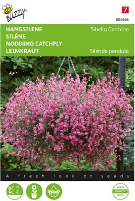 Productafbeelding van Zaden hangsilene sibella carmine 25 zaden Buzzy