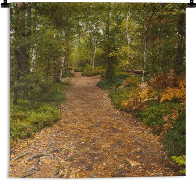 Produktbild von MuchoWow® Wandteppich Wandbehang Wald - Weg - Herbst - Laub 60x60 cm Tapisserie Dekoration Wandtuch - Dekorationen - Wand Decke