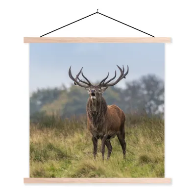 Produktbild von MuchoWow® Textilposter Hirsche - Geweihe - Gras 40x40 cm mit holzfarbenen Rahmen - Posterleiste
