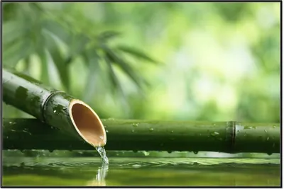 Produktbild von Wallario Wandbild Bambusquelle  Bambusrohr mit Wasser, Größe: 61 x 91,50 cm, Poster mit schwarzem Aluminiumrahmen