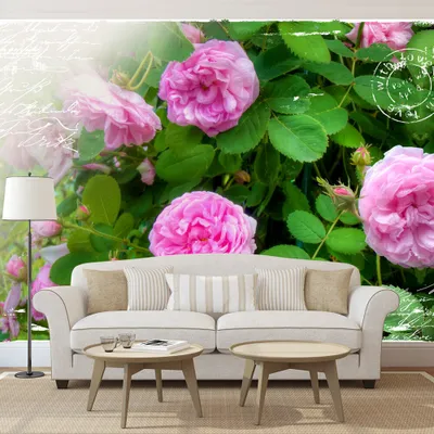 Produktbild von Basera Fototapete Rosenmotiv b-A-0029-a-a, Vliestapete, 250x175 cm