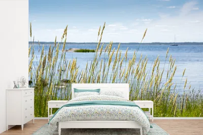 Produktbild von Seetuch - Fototuch Riet am Meer - Breite 525 cm x Höhe 350 cm