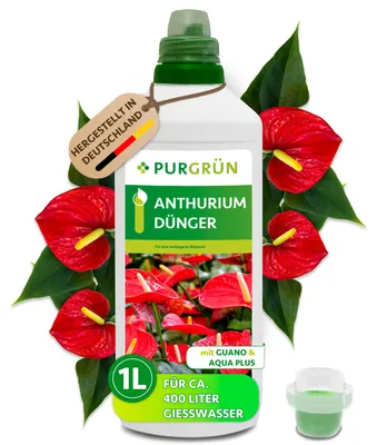 Produktbild von Purgrün Anthurium-Dünger | Flüssigdünger für Blüten & Wachstum | 1L