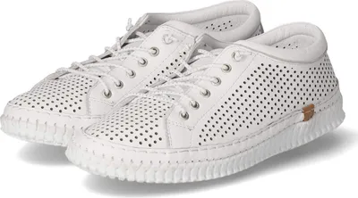 Produktbild von Andrea Conti Damen Schnürschuhe Weiß Glattleder Größe:41