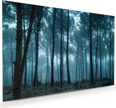 Produktbild von Glasbild 45x30cm in XXL für Wohnzimmer, Schlafzimmer Motiv Nebeliger Wald