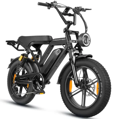 Produktbild von Draixcor E7 2.0 E-Bike 20 Zoll Fatbike, 48V 15Ah 720Wh, bis 108 km, 250W 80Nm, Shimano 7-Gang, Hydraulikbremsen, Vollfederung, Schwarz, LED-Blinker