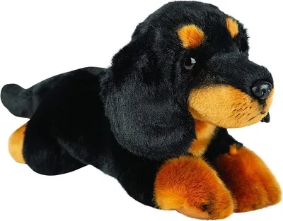Obrázok produktu pre Suki 12143 Ležiaci jazvečík 30 cm Plyšová hračka z kolekcie Suki
