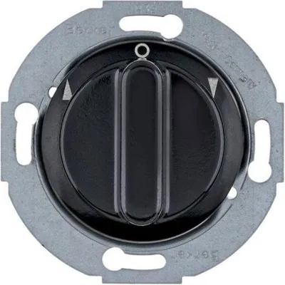 Produktbild von Berker 381113, Drehschalter, 1P, Metall, Kunststoff, Glanz, Schwarz, IP20