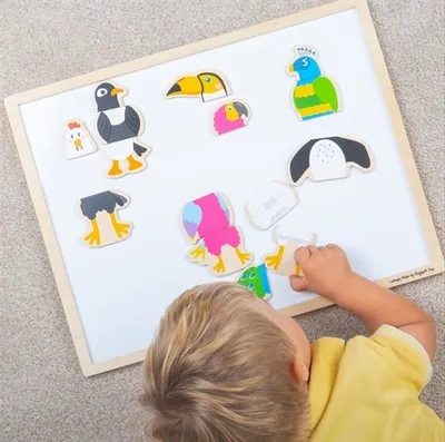Produktbild von Bigjigs Toys Vogelfreunde Magnete