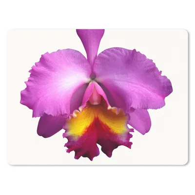 Produktbild von MuchoWow® Mauspad Mousepad Nahaufnahme Orchidee 23x19 cm - Mousepads - Maus Mat - Pad - Mausunterlage - Schreibtischunterlage - Mauspad