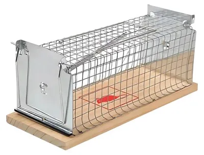 Produktbild von Verk 19497 Nagetierfalle XL 29 x 12 x 12 cm