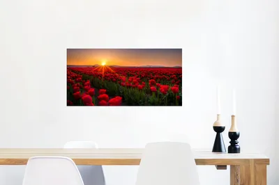 Produktbild von MuchoWow® Poster Ein Feld mit nur roten Tulpen 80x40 cm - Wanddeko