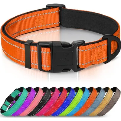 Produktbild von Hundehalsband Neopren Nylon Gepolstert Verstellbar Reflektierend Orange S