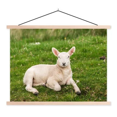 Produktbild von MuchoWow® Textilposter Schafe - Tiere - Lamm 60x45 cm mit holzfarbenen Rahmen - Bild
