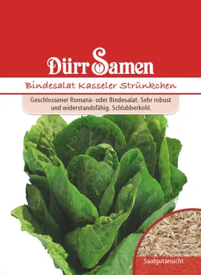 Produktbild von Dürr-Samen - Bindesalat Kasseler Strünkchen - Saatgut - 0979