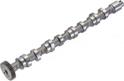 Produktbild von KOLBENSCHMIDT 50007022 Nockenwelle Auslass für VW GOLF VI (5K1) Polo Schrägheck (6R1, 6C1) TOURAN (1T1, 1T2) für AUDI A4 Avant (8K5, B8) A6 Avant