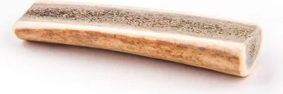 A single dog chew toy made from antler, presented on a white background.