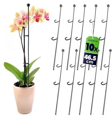 Produktbild von Famanu Pflanzensteher 50 cm hoch - 10 Stück, dekorativ und stabil