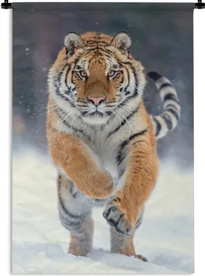 Produktbild von MuchoWow® Wandteppich Wandbehang Tiger - Landschaft - Schnee - Tiere 120x180 cm Tapisserie Dekoration Wandtuch - Schlafzimmer - Dekorationen für das Haus