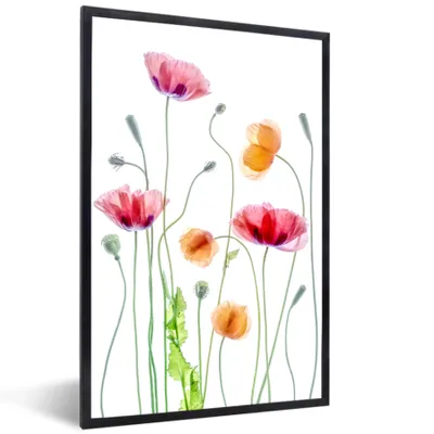 Produktbild von MuchoWow® Gerahmtes Poster Mohn - Blumen - Frühling - Weiß 60x90 cm - Poster mit Schwarzem Bilderrahmen Wandposter Rahmen Foto Bilder - Kunst