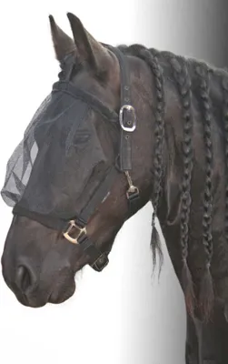 Produktbild von Harry`s Horse Fliegenmaske mit integriertem Halfter, schwarz in C/S