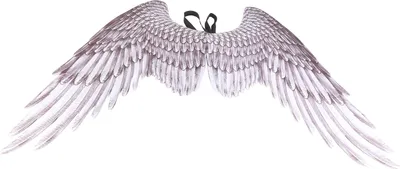 Obrázok produktu pre Halloween 3D Angel Fairy Netkaný Halloween Party Karneval Cosplay pre dospelých