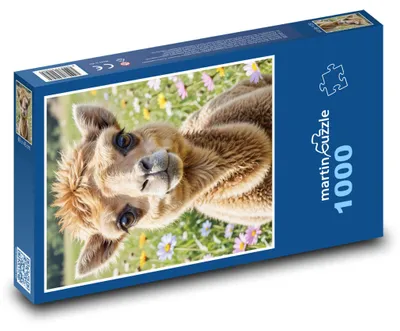 Produktbild von Puzzle 1000 Süßes Lama auf der Wiese - martinpuzzle