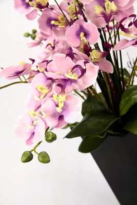 Produktbild von Realistische Kunstorchidee in Topf - Phalaenopsis Kunstblume Vlinder Dekoration - Realistische Blumen Kunstpflanze für Hochzeit